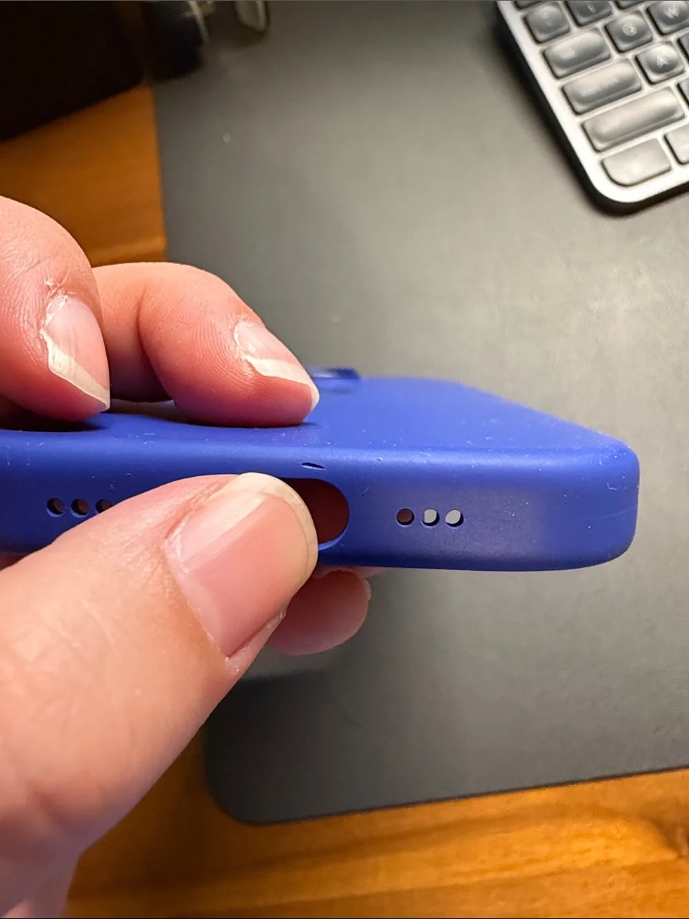 iPhone 16 Pro Apple Case